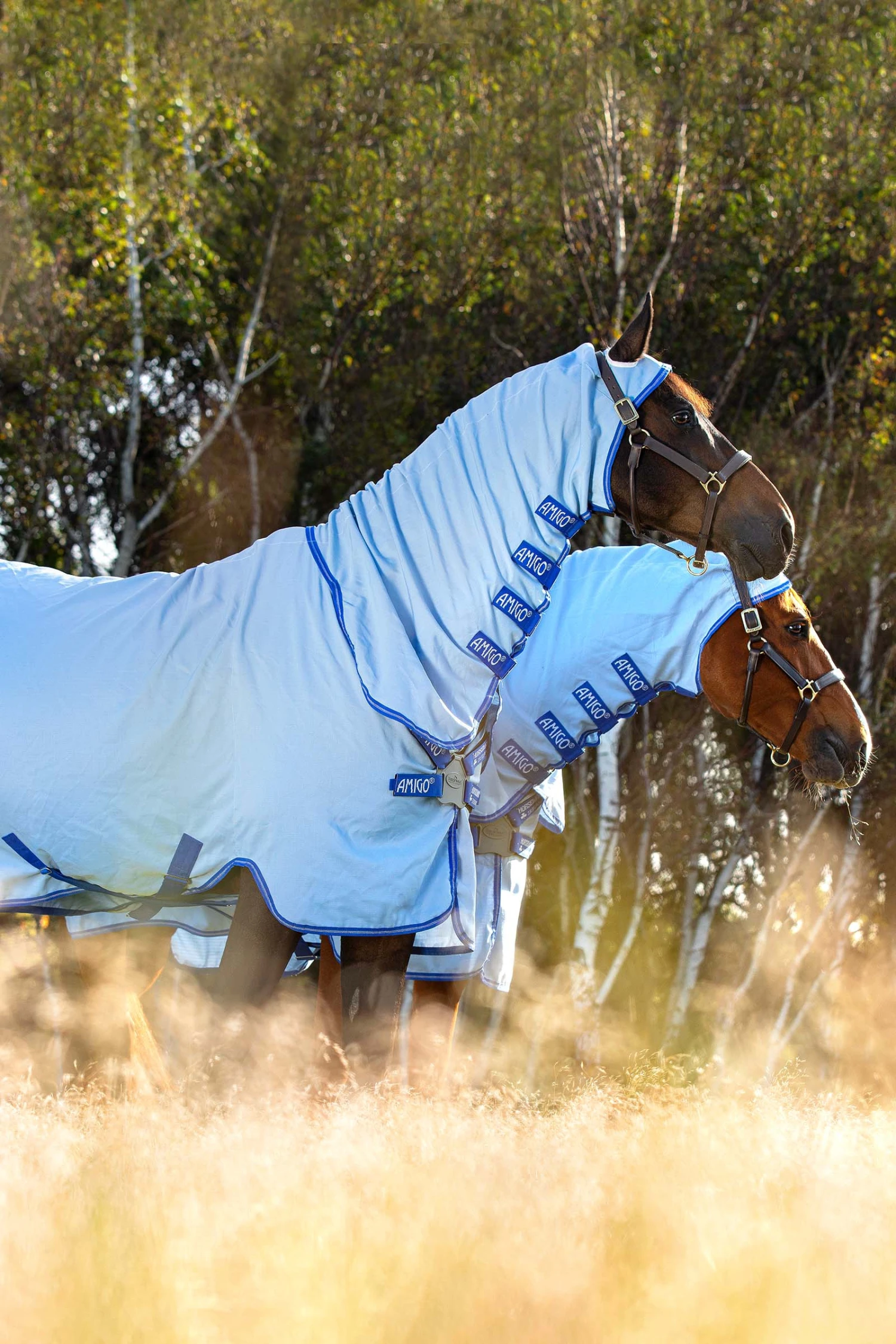 Horseware Amigo Hoody Exzemer Decke Mit Festem Halsteil – Bild 5