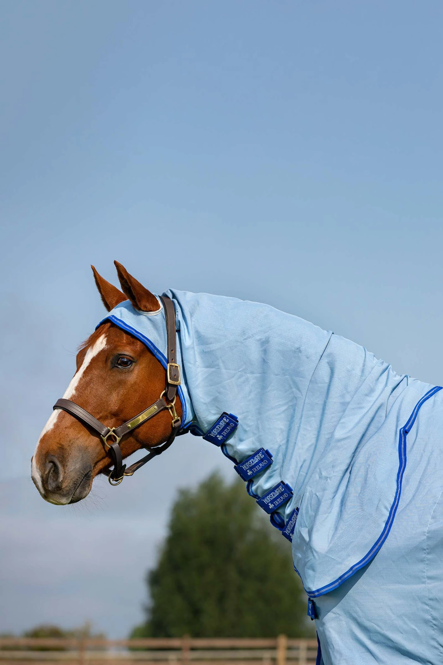 Horseware Amigo Hoody Exzemer Decke Mit Festem Halsteil – Bild 6