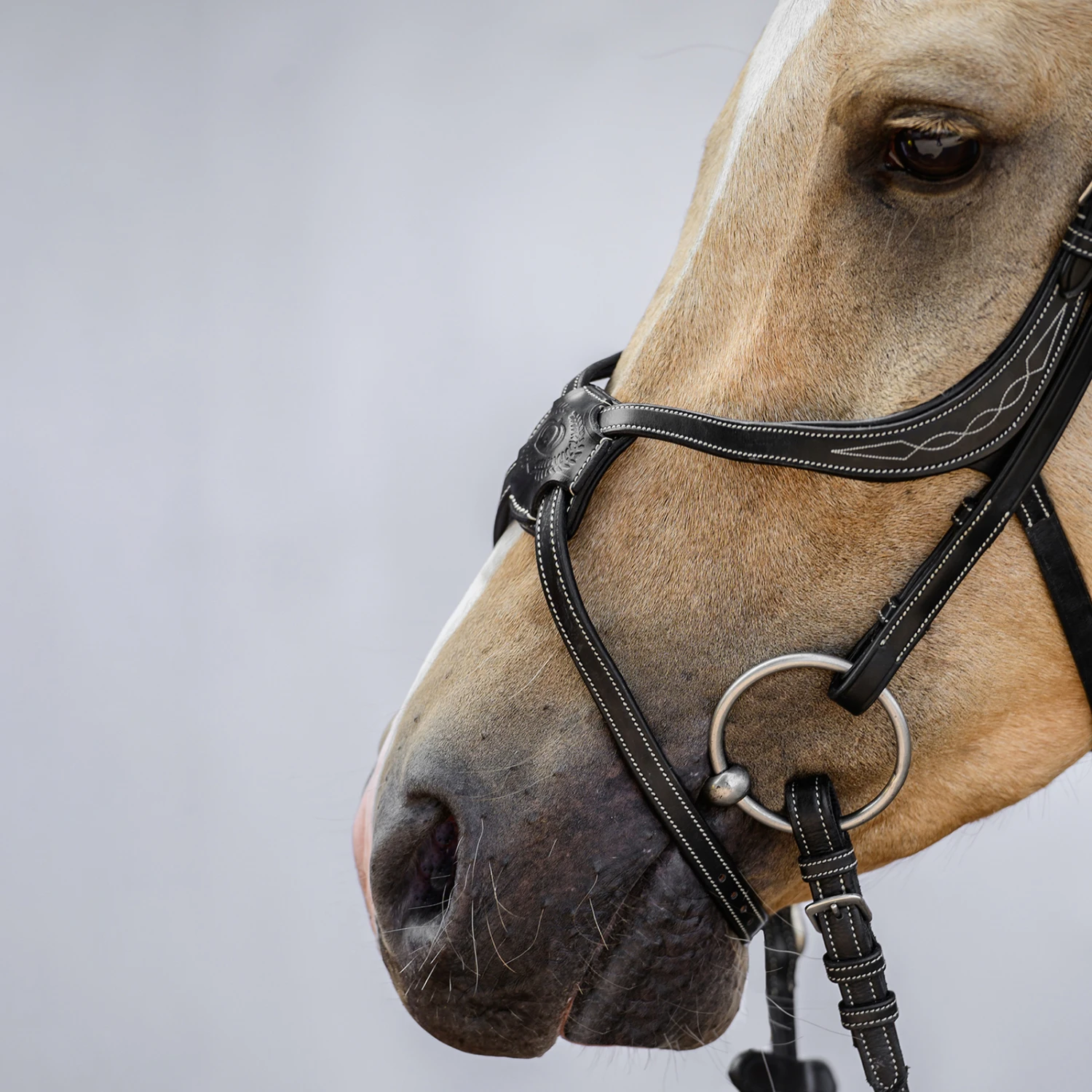 PS Of Sweden Athens Mexikanische Trense – Bild 2