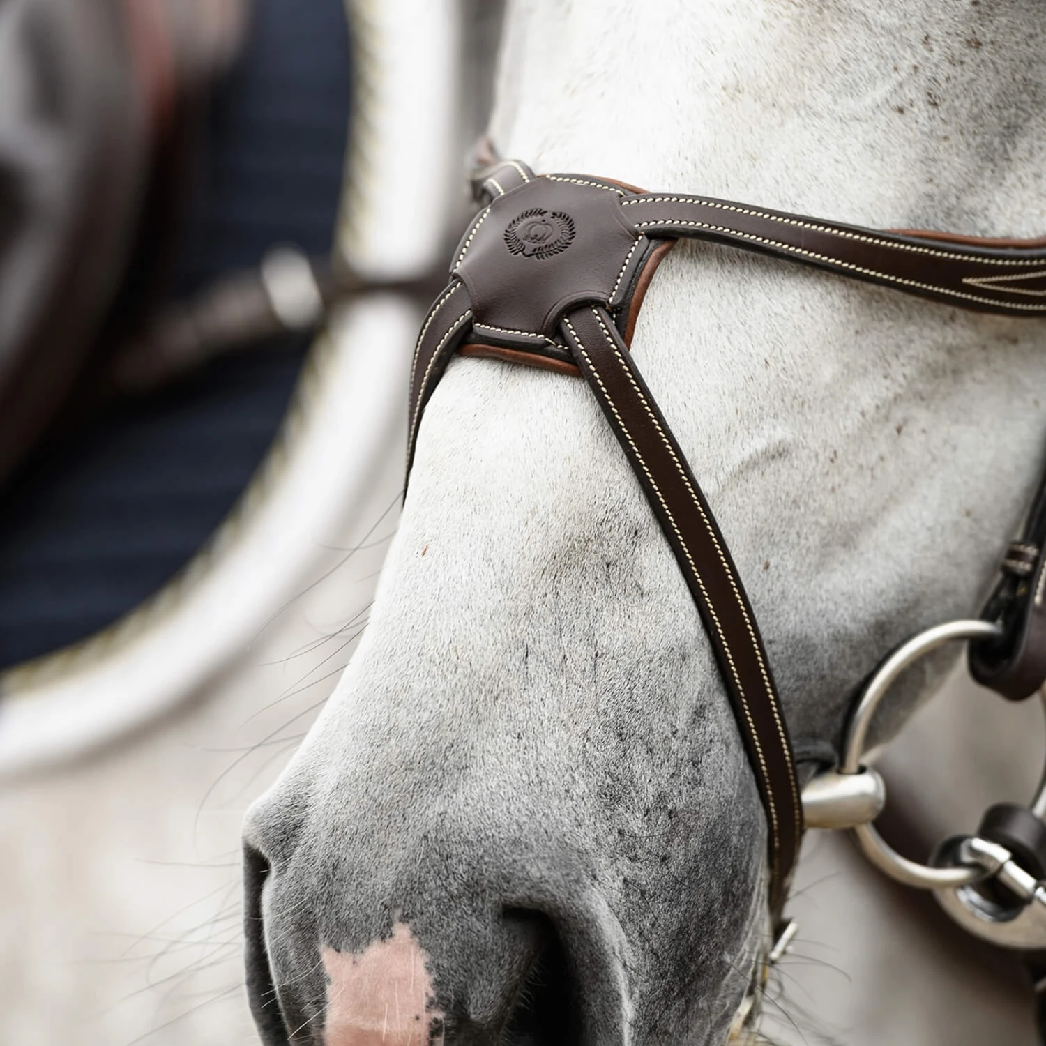 PS Of Sweden Athens Mexikanische Trense – Bild 4