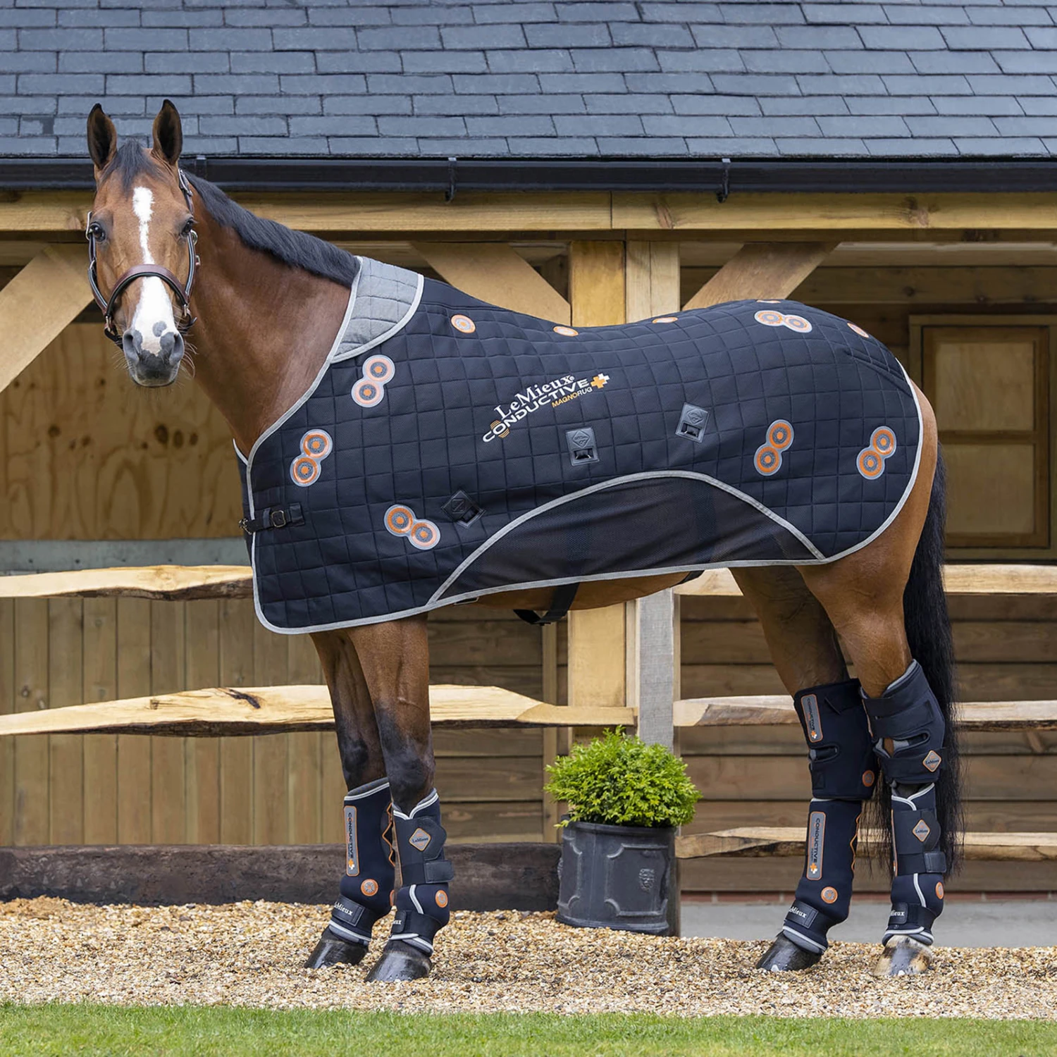 LeMieux Conductive MagnoRug Magnetfelddecke – Bild 2