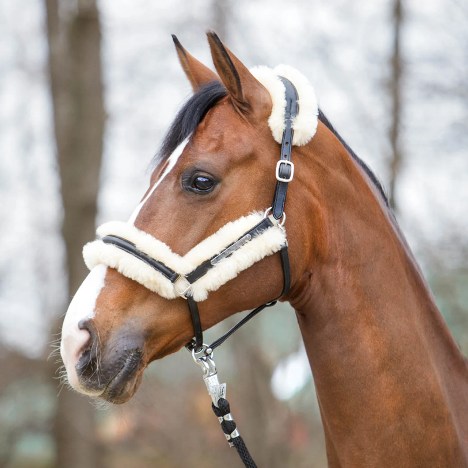 Kavalkade Marvellous Lederhalfter Mit Lammfell – Bild 6