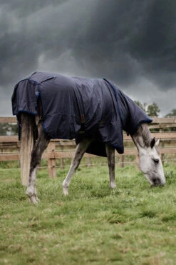 Kentucky Horsewear All Weather Hurricane Weidedecke, 50g