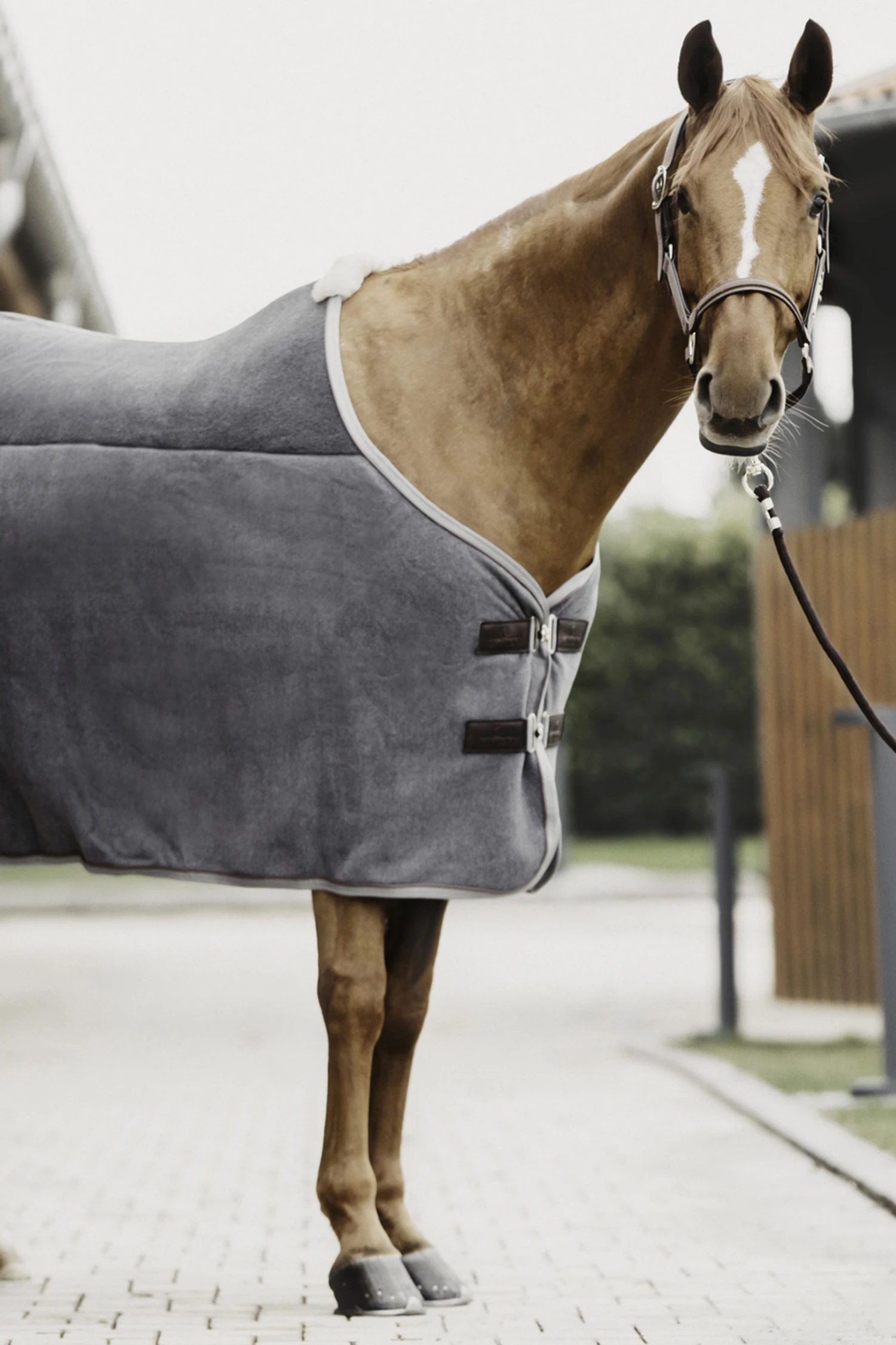 Kentucky Horsewear Tiny Schwere Fleecedecke – Bild 3