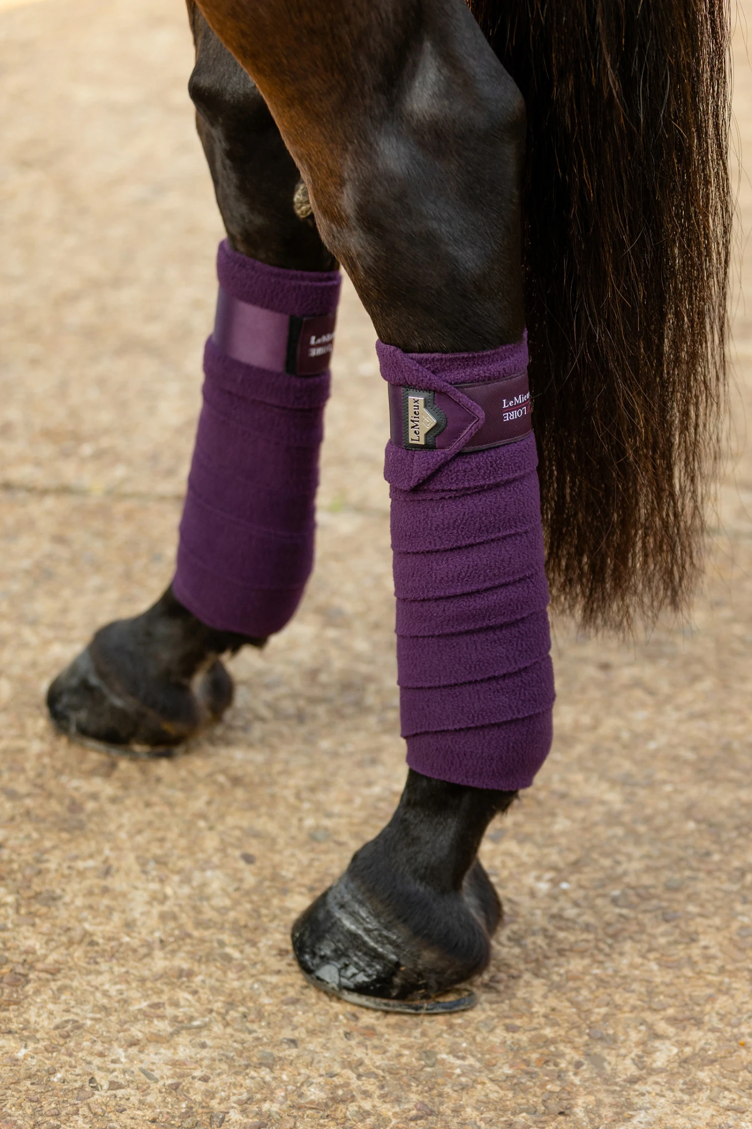 LeMieux Loire Satin Bandagen – Bild 6