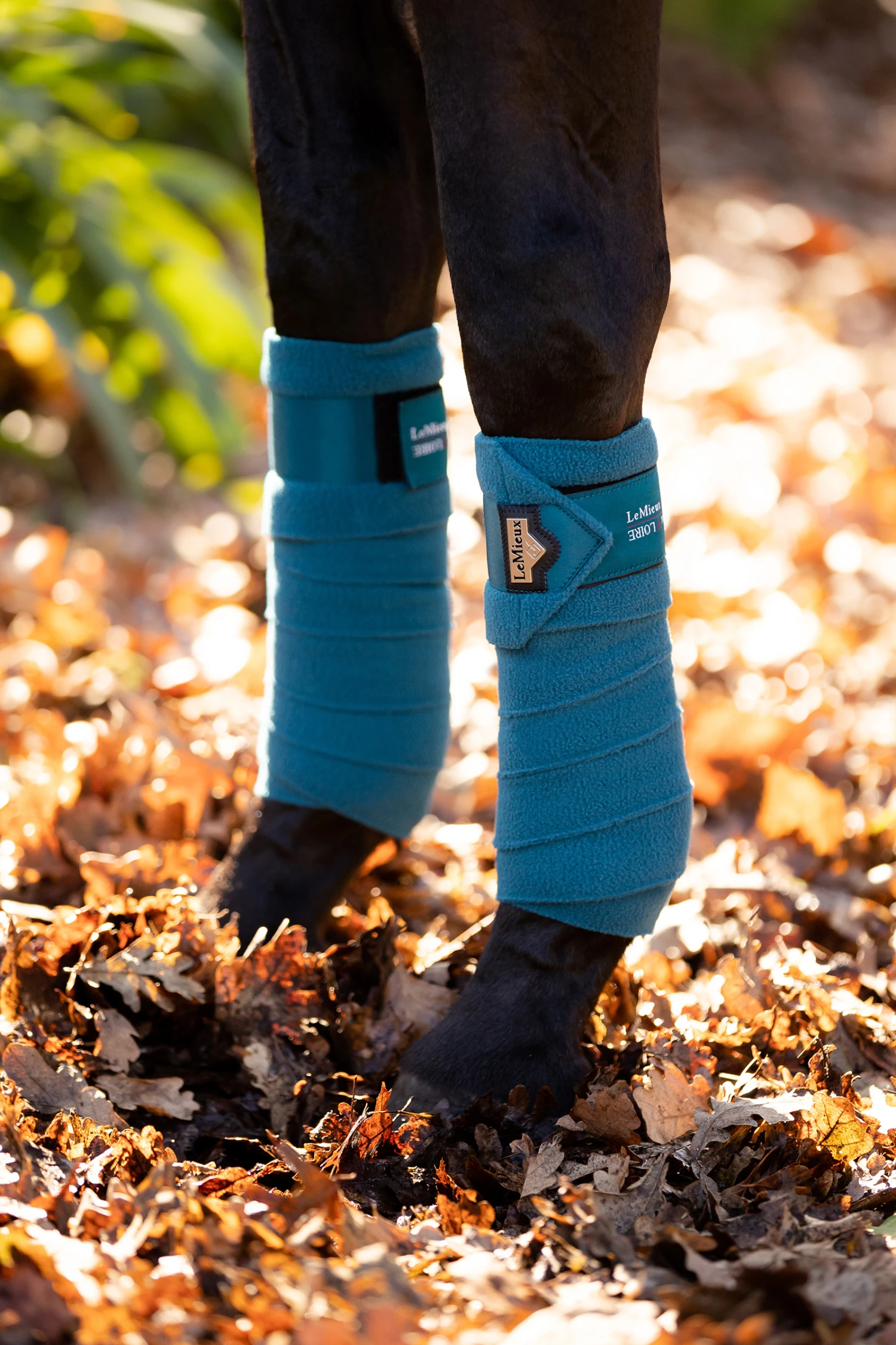 LeMieux Loire Satin Bandagen – Bild 9