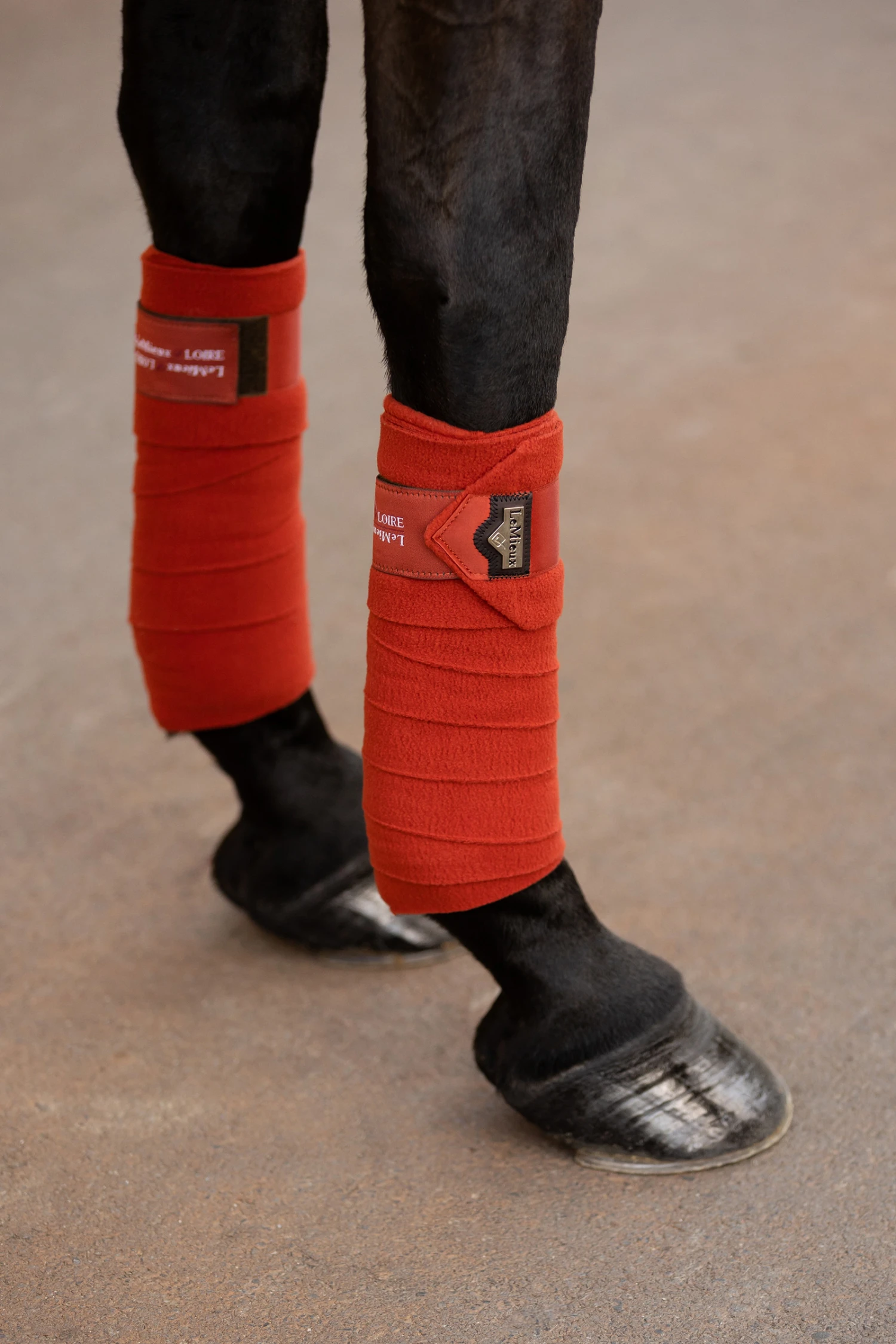 LeMieux Loire Satin Bandagen – Bild 12