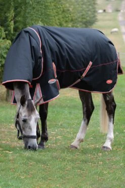 Weatherbeeta Comfitec Premier Mit Therapy-Tec Inkl. Anbehmbarem Halsteil, 50g