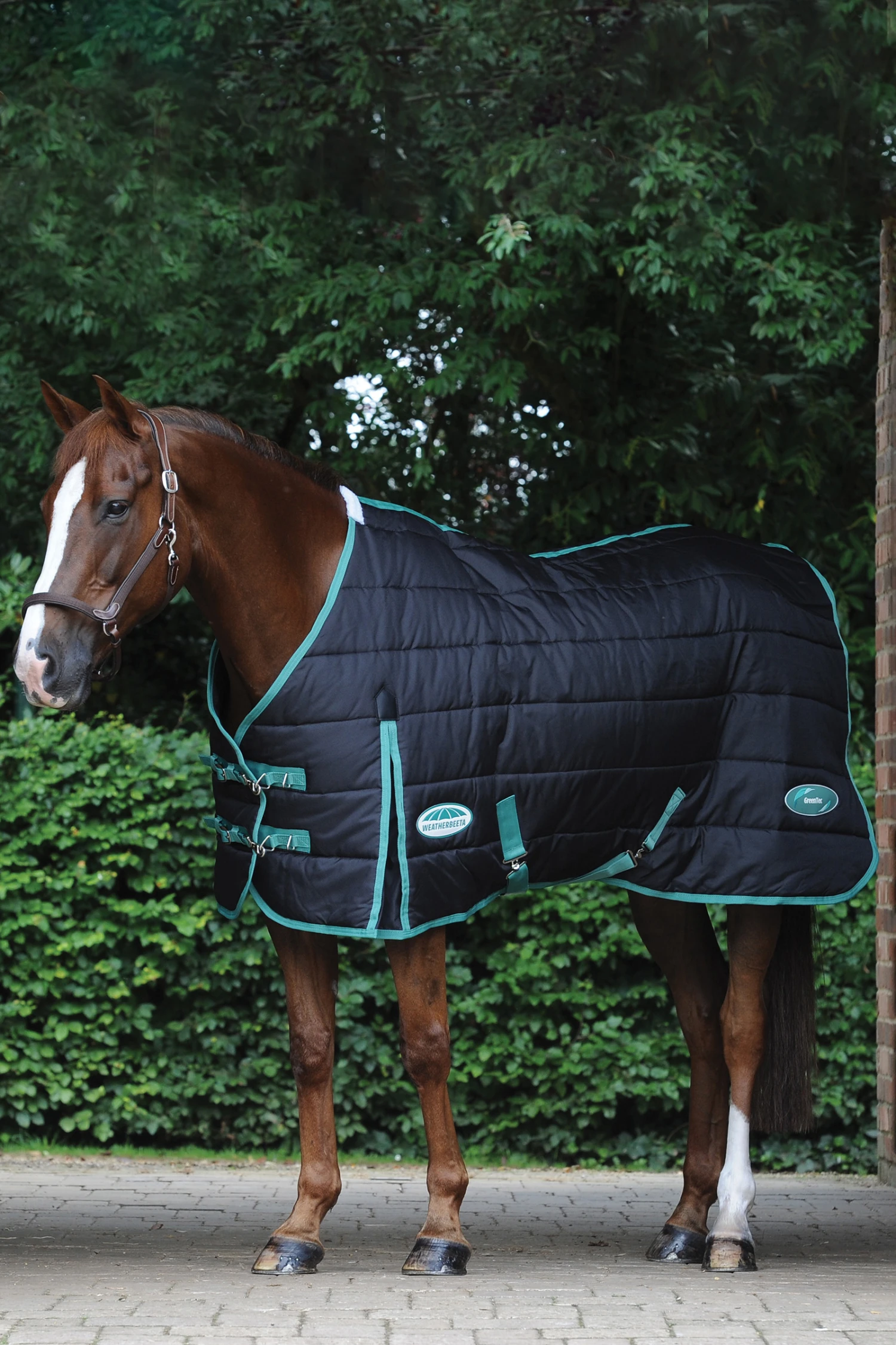 Weatherbeeta Green-Tec Stalldecke, 150g – Bild 2