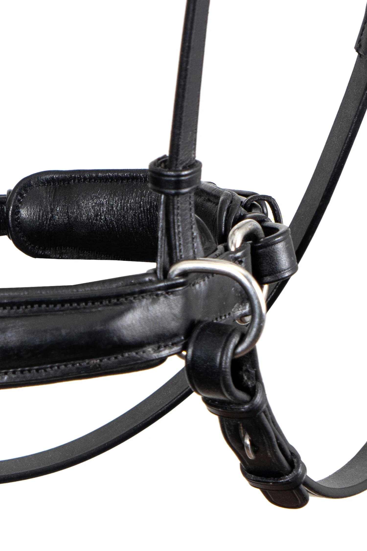 F.R.A. Alizée Mistral Gebissloser Zaum – Bild 3