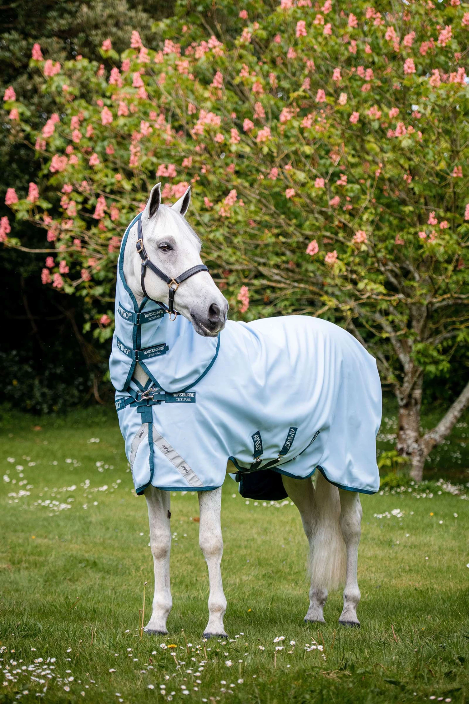 Horseware Amigo Plant Dye Weidedecke, 50g – Bild 2