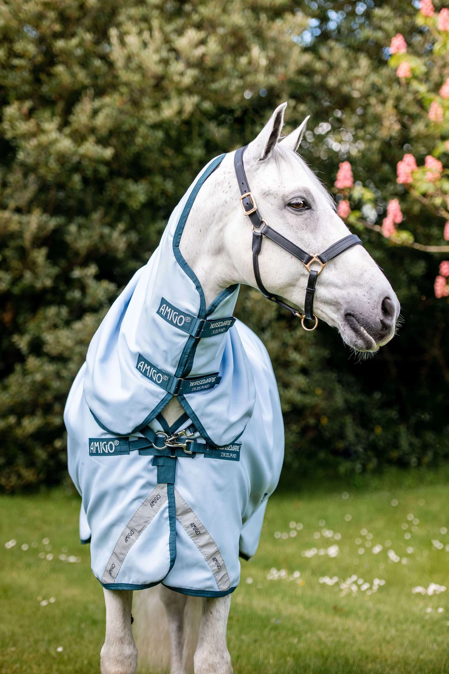 Horseware Amigo Plant Dye Weidedecke, 50g – Bild 3