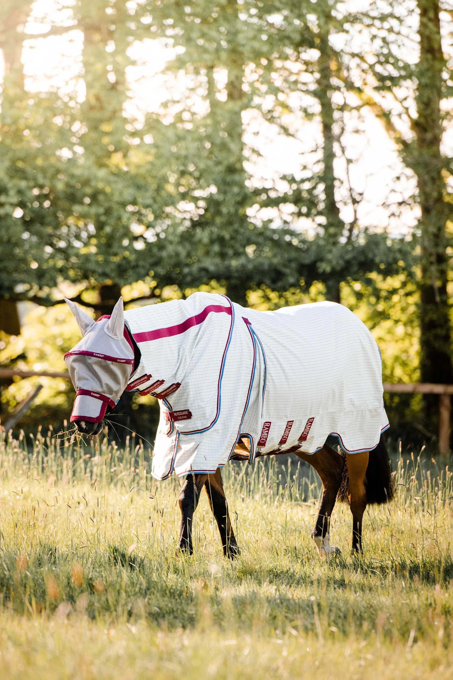 Horseware Rambo Optimo Supreme Summer Sheet – Bild 2