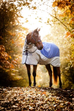 Horseware Rambo Autumn Series