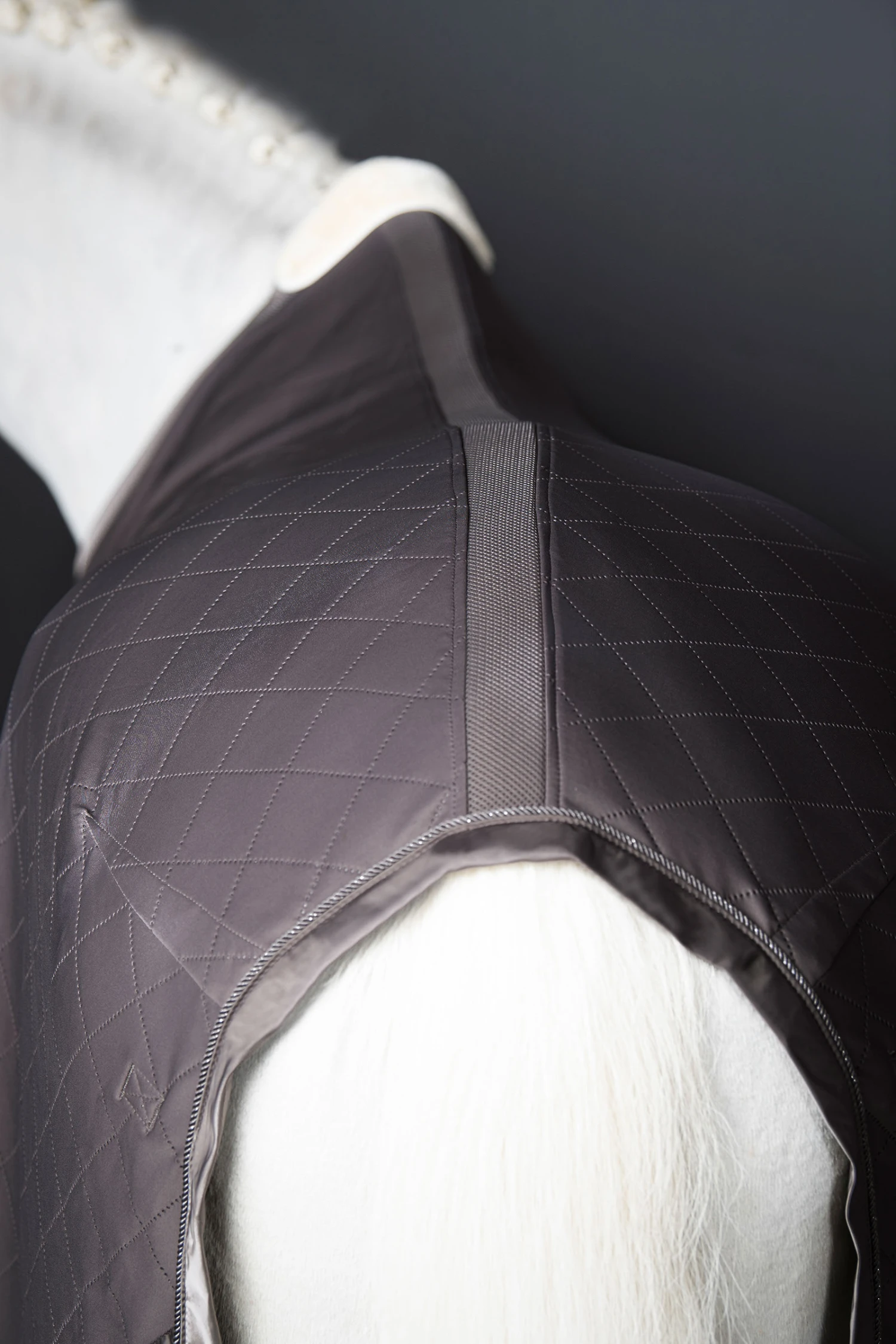 Eskadron Classic Sports FS22 Aerial Jersey Abschwitzdecke – Bild 3