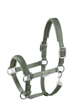 Eskadron Platinum 22 Doublepin Crystal Halfter