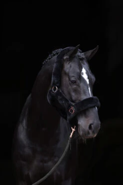 Covalliero SuperSoft Halfter