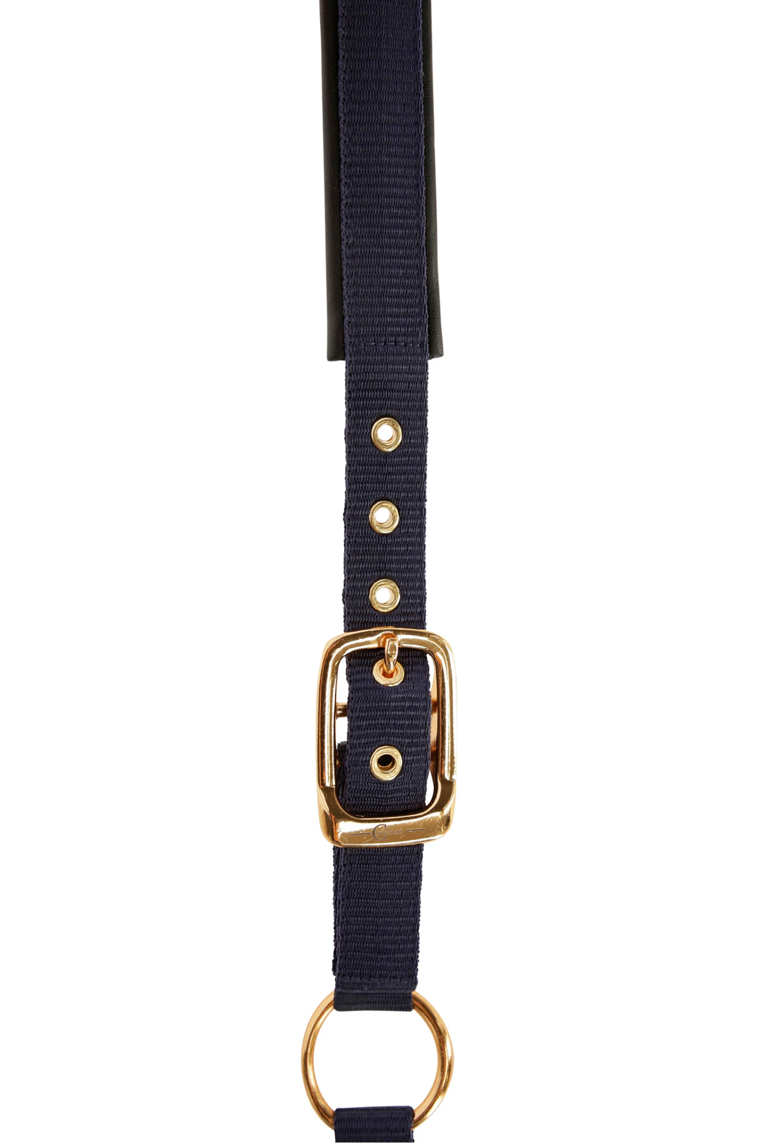 Covalliero TopLine Halfter – Bild 8