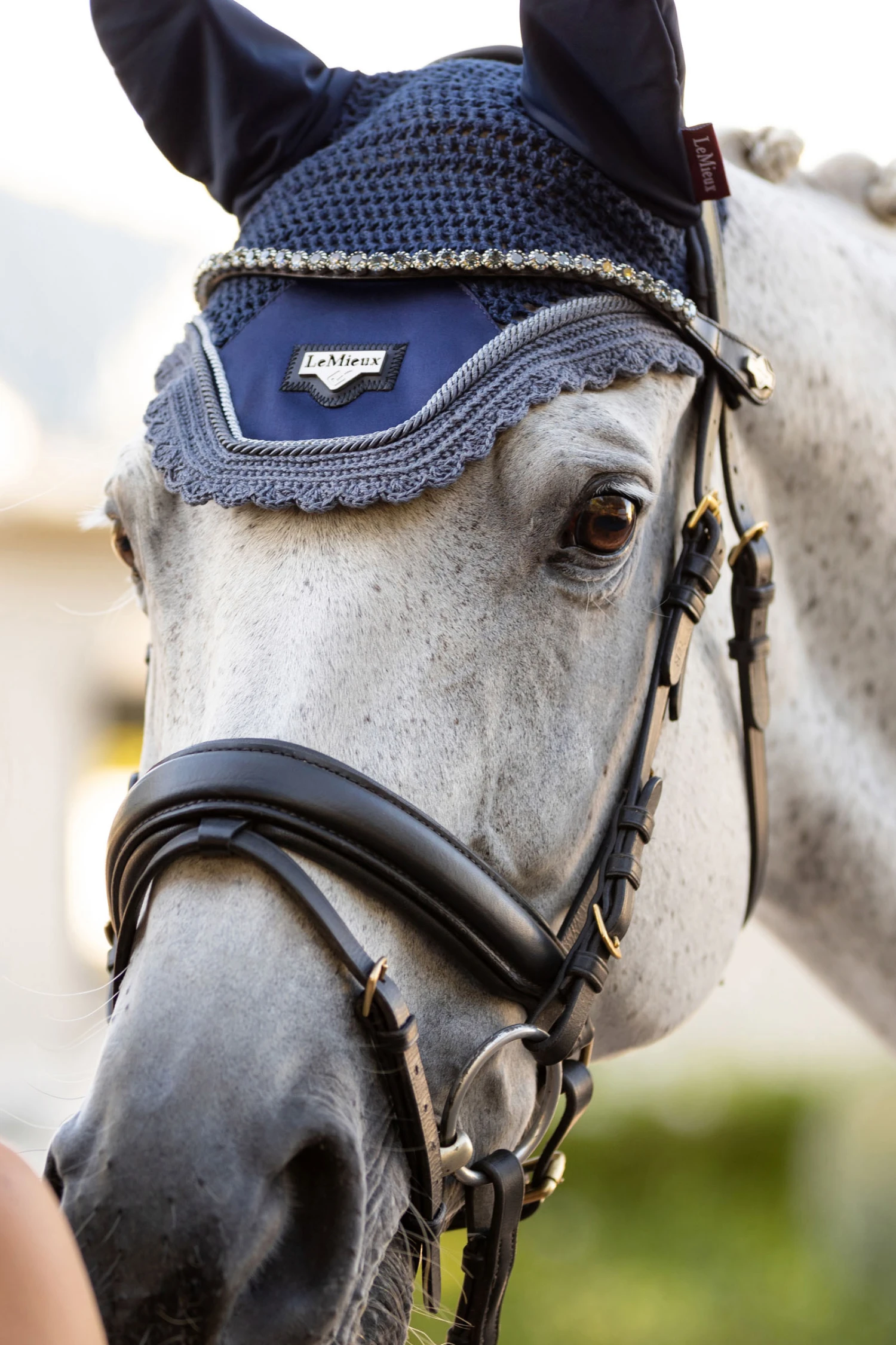 LeMieux Twilight Stirnriemen – Bild 5