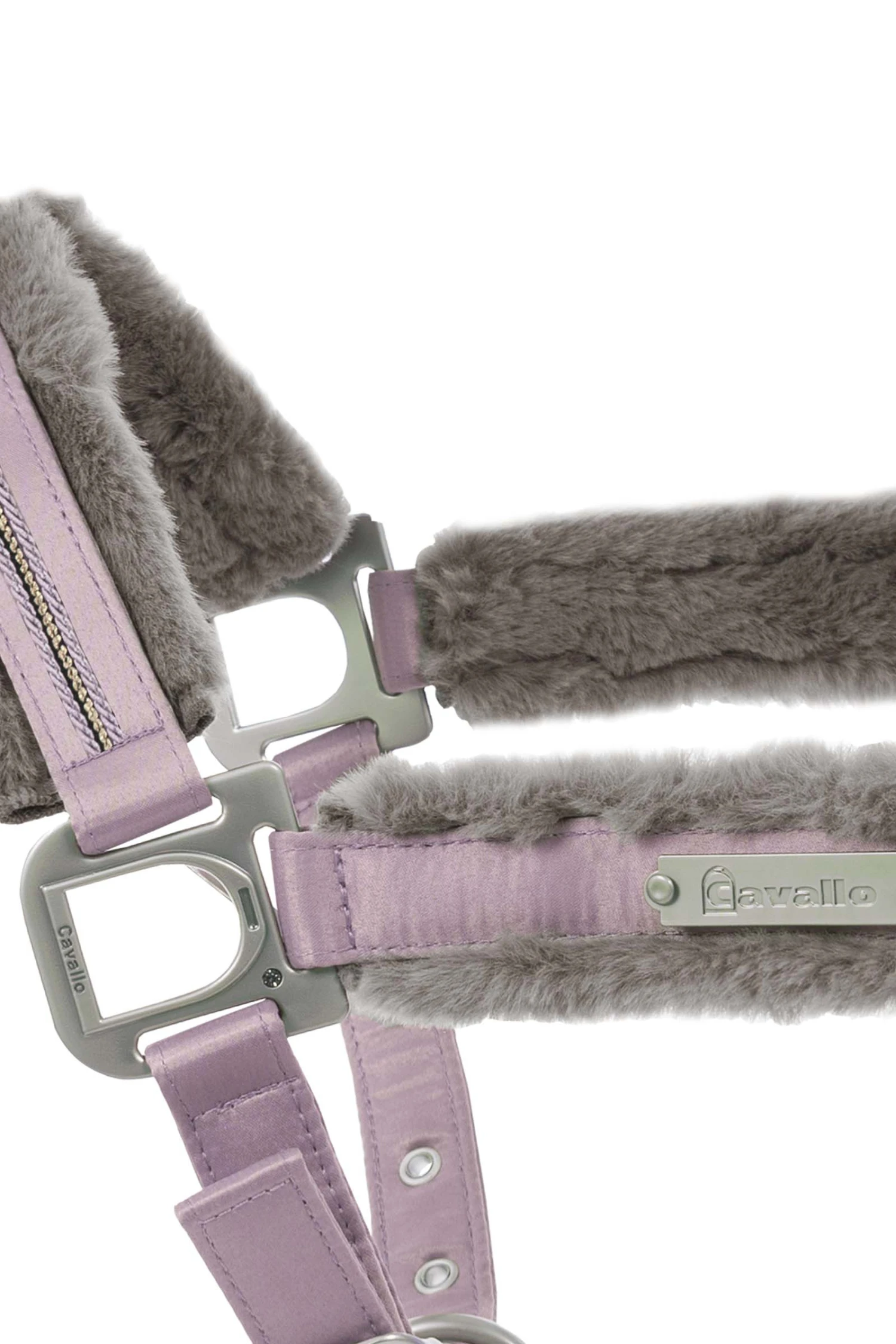 Cavallo Henny Halfter – Bild 6