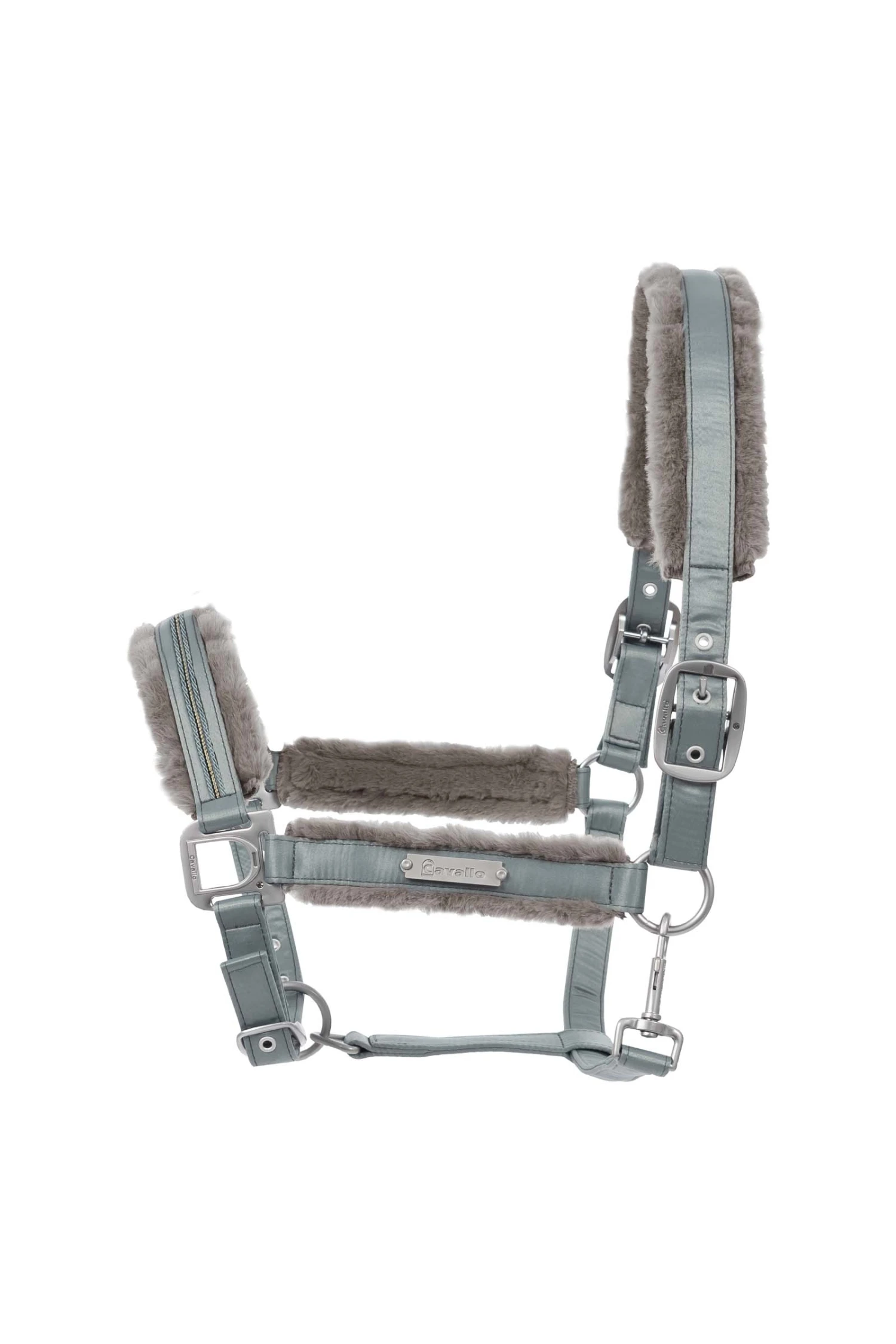 Cavallo Henny Halfter – Bild 3