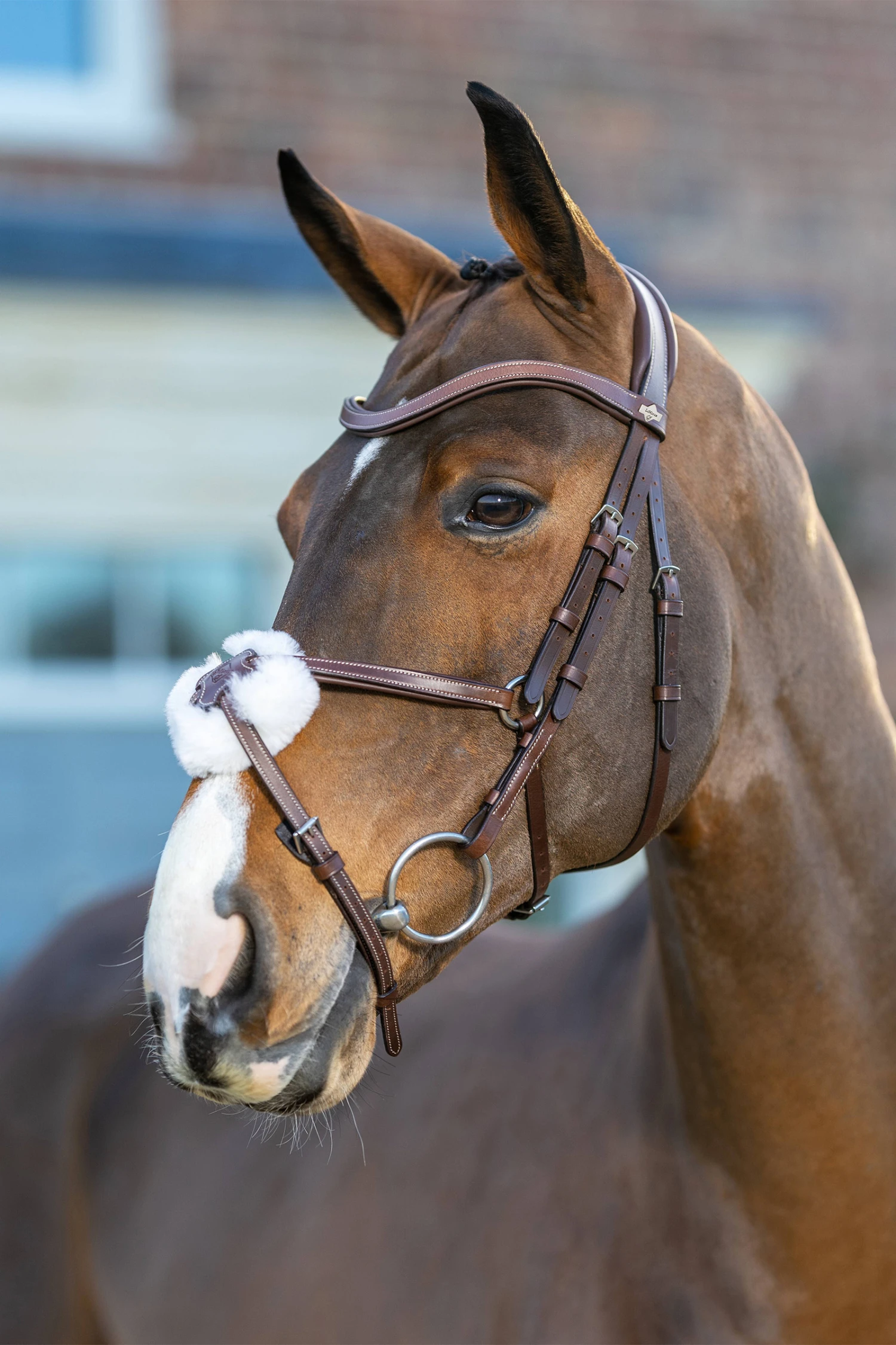 LeMieux Arika Mexikanische Trense – Bild 4