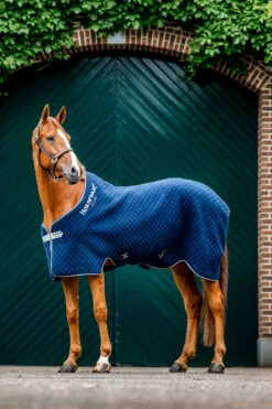 Horseware Autumn Cooler Abschwitzdecke